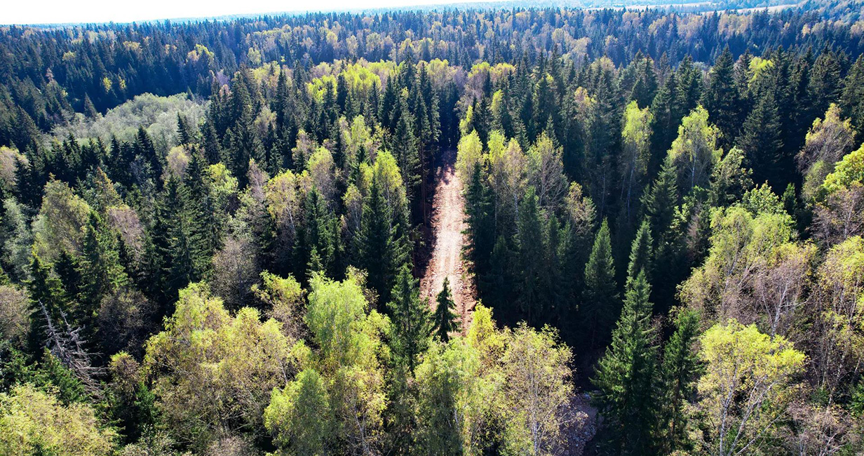 Фото 2 поселок РигаЛес