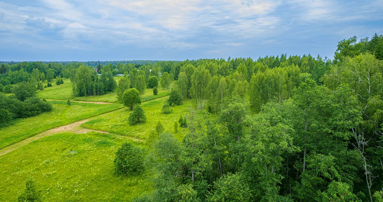Фото 2 поселок РигаЛес