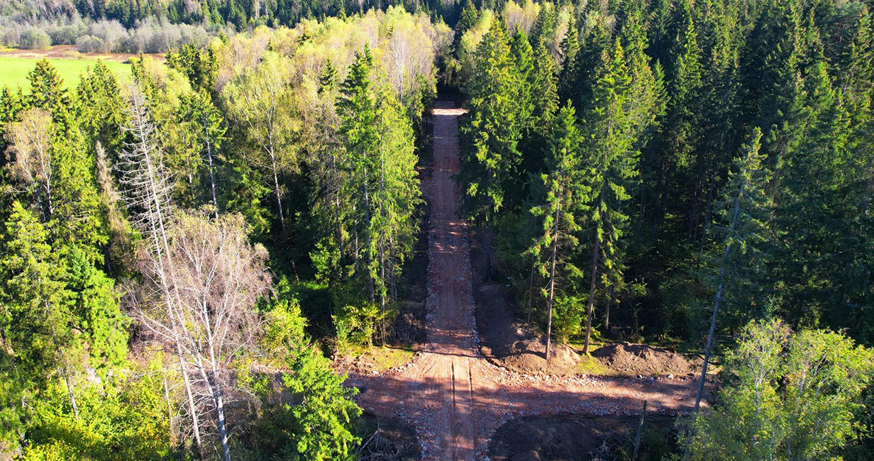 Фото 3 поселок РигаЛес