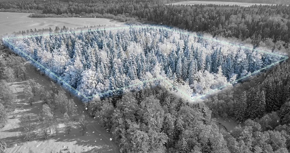 Фото коттеджный поселок РигаЛес